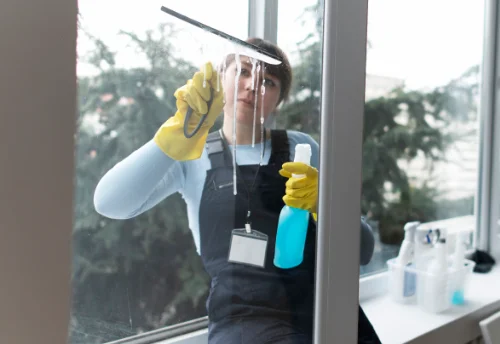 Nettoyage de vitres intérieures et extérieures à Polliat
